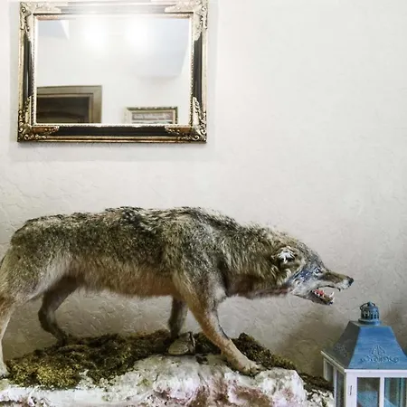 ホテル Pahuljica 4*