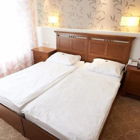 ホテル Pahuljica ヴラシチ