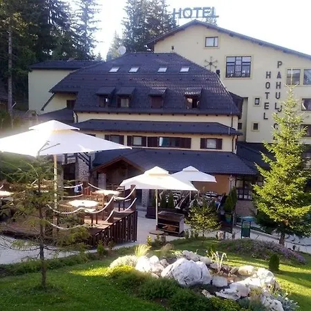 Отель Pahuljica Власич