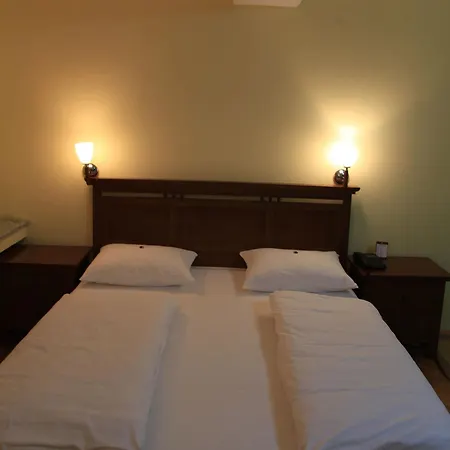 Pahuljica Hotel Vlasic