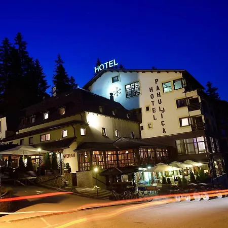 Pahuljica Отель Власич