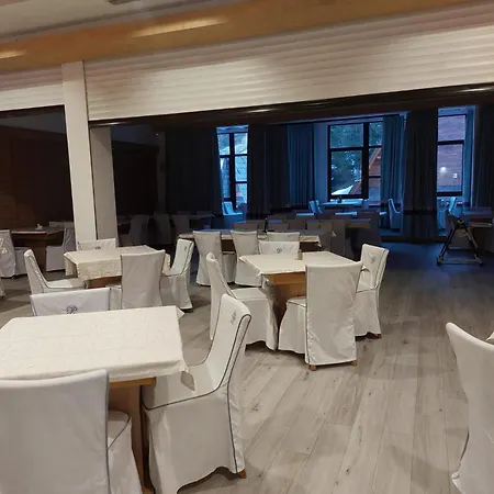 帕湖里加酒店 酒店 弗拉西克