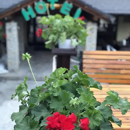 Pahuljica Hotel Vlasic