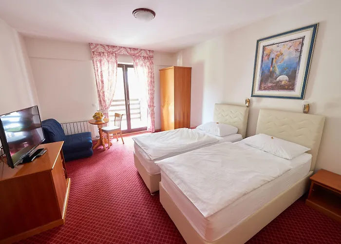 Pahuljica Hotel Vlasic