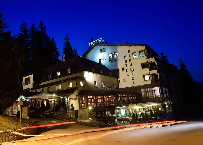 Pahuljica Hotel Vlasic