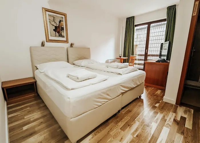 Pahuljica Hotel Vlasic