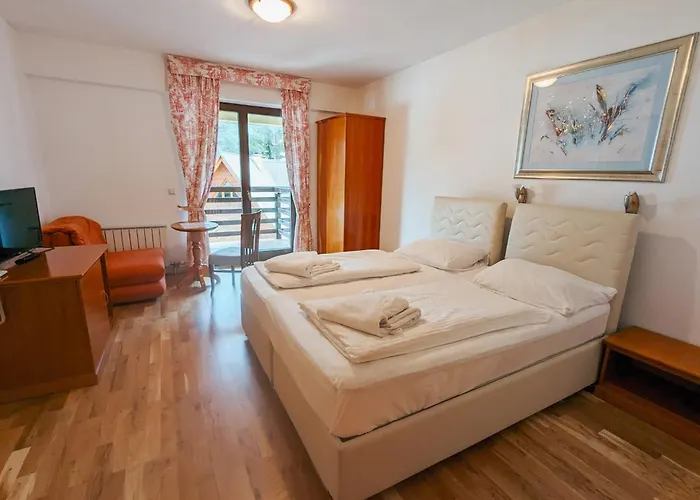 Pahuljica Hotel Vlasic