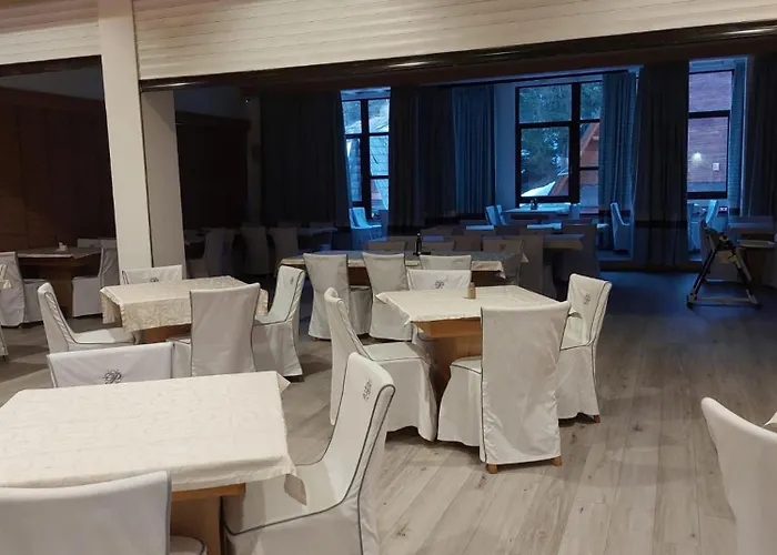 Pahuljica Hotel Vlasic