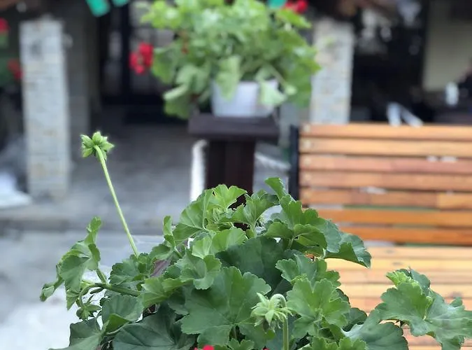 Pahuljica Hotel Vlasic